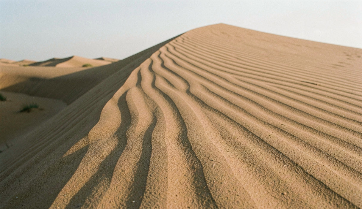 Crête de dune ondulée par le vent, les rides du sable projettent de fines ombres parallèles sous un soleil bas